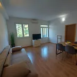 Apartments Neva